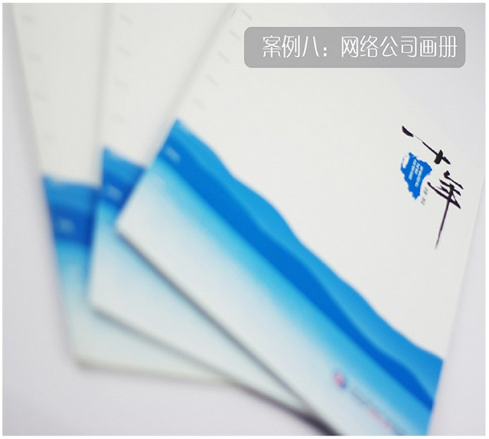 網(wǎng)絡(luò )公司案例